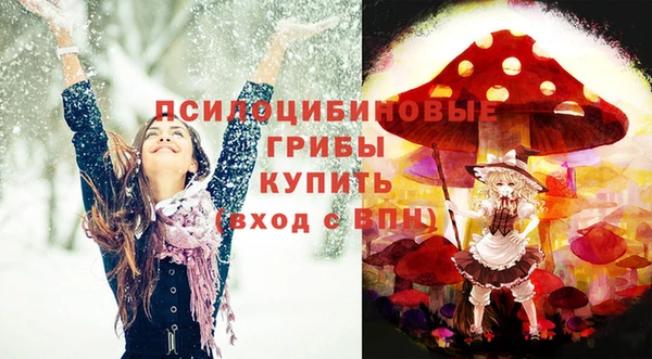 дживик Баксан